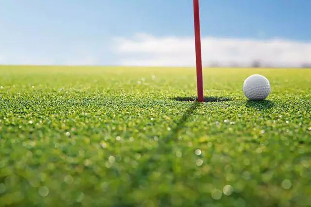 Green Golf Putting Grass Stance Mat 