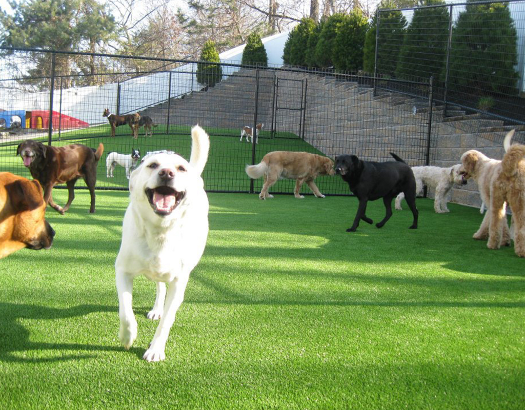 JW Wholesale Pet Puppy Artificial Grass Lawn Pad